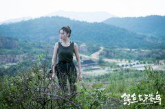 《鳄鱼与牙签鸟》张天爱为戏攀岩 网友:“